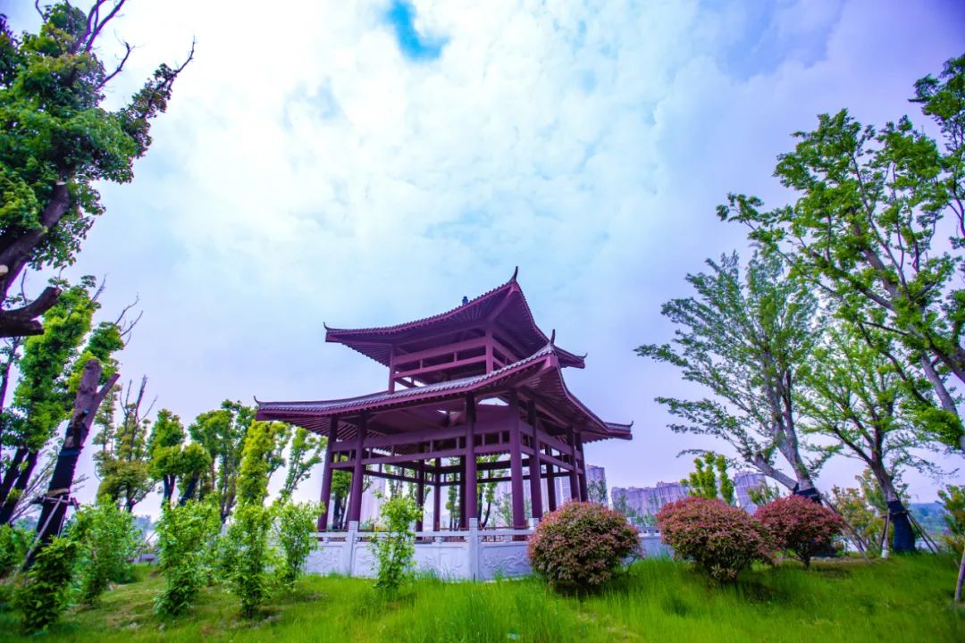 阜阳又一大型公园开放了_澎湃号·政务_澎湃新闻-the paper