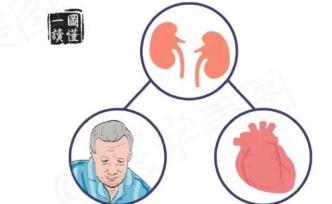 簡單三步丨識別并控制慢性腎衰