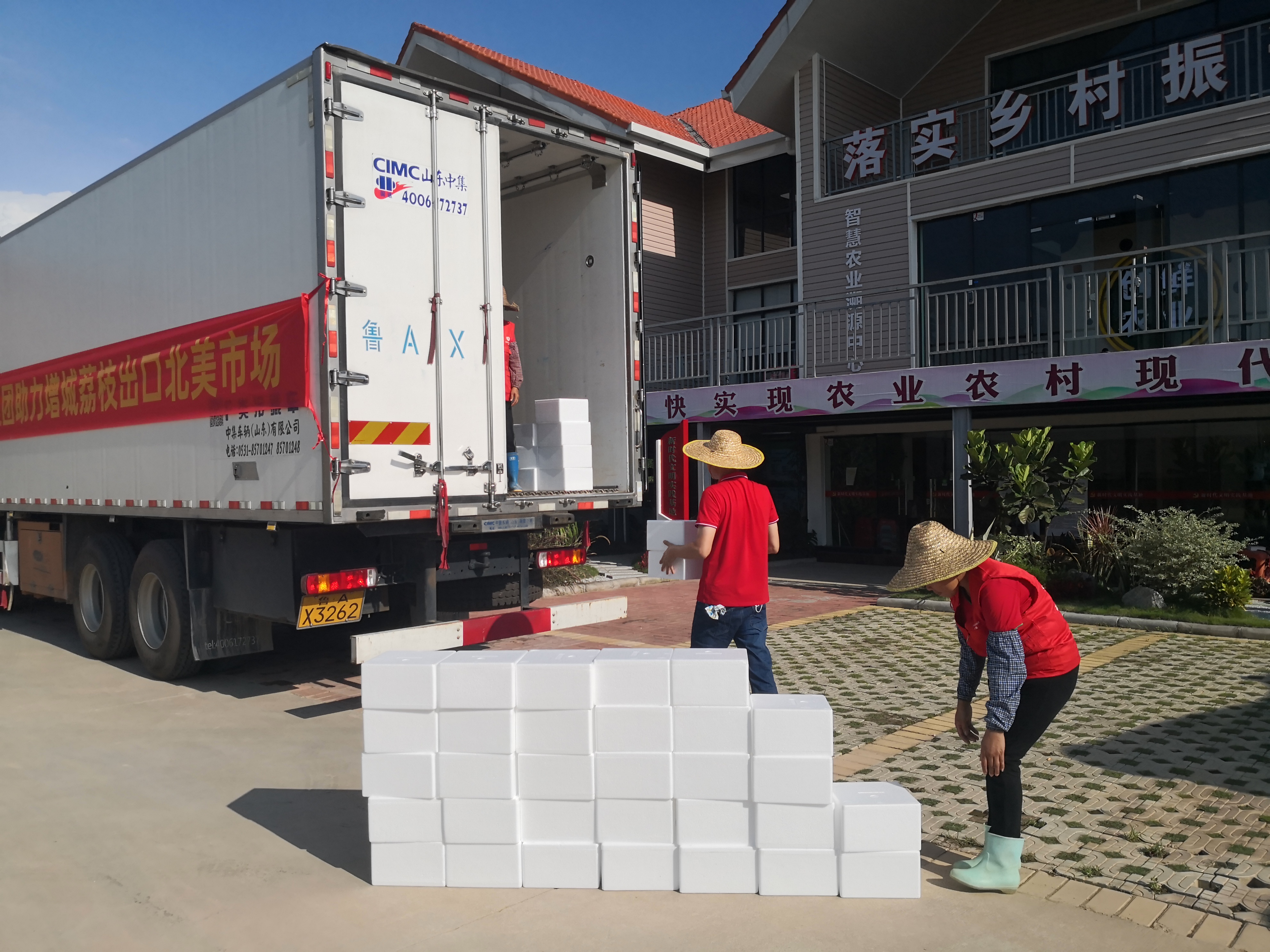 工人将优质增城荔枝装上集装箱大货车.