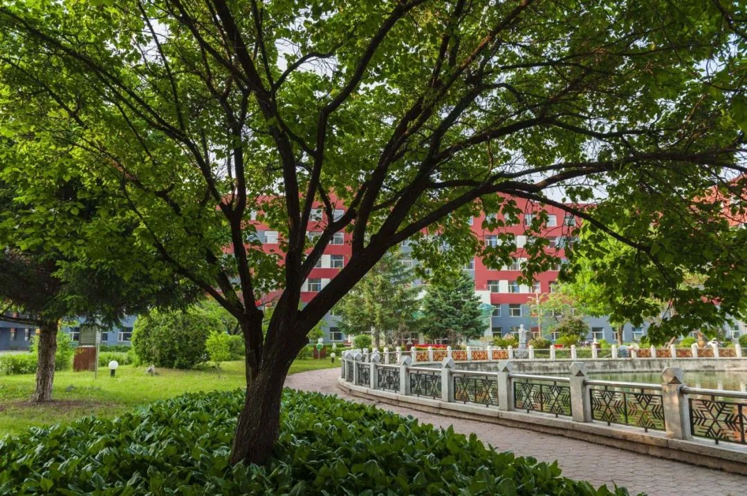 中考·导航丨松花江中学:以海纳百川的禀赋滋养万物,以有容乃大的襟怀