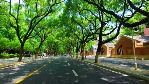 见证岳麓一条麓山南路串起你我的青葱记忆