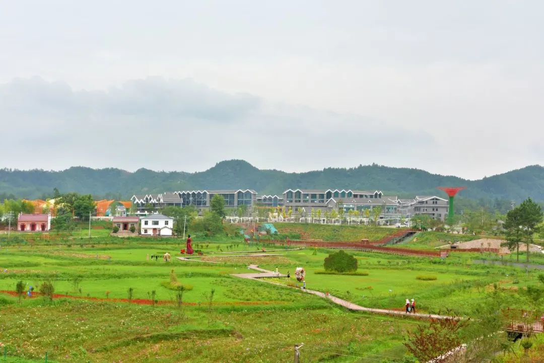 【一线串起 14 珠 美丽乡村展风采】会昌小密花乡旅游助推乡村振兴