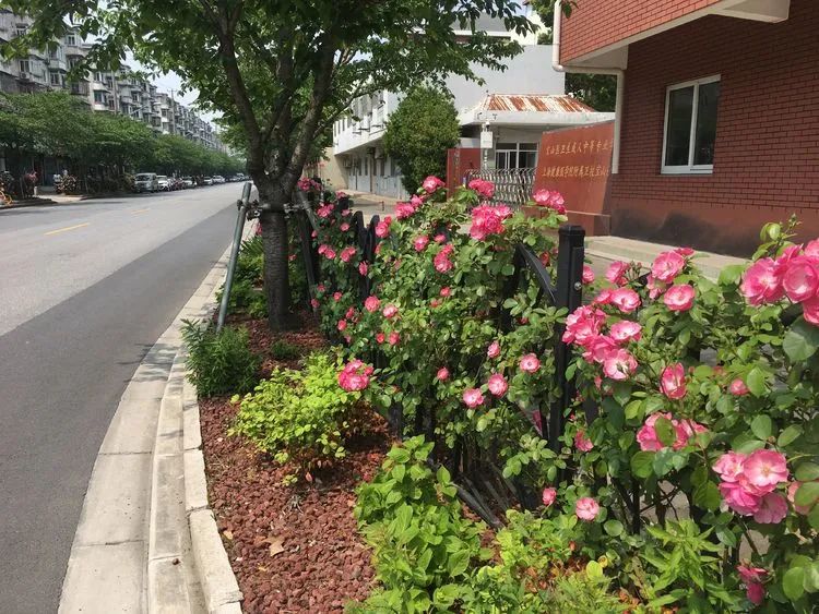 端午来看看宝山人家门口的美景