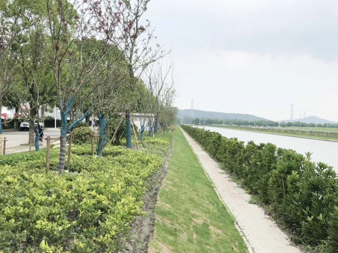 近日,经开区又一座新建绿地——小昆山三号河滨河绿地正式开放.