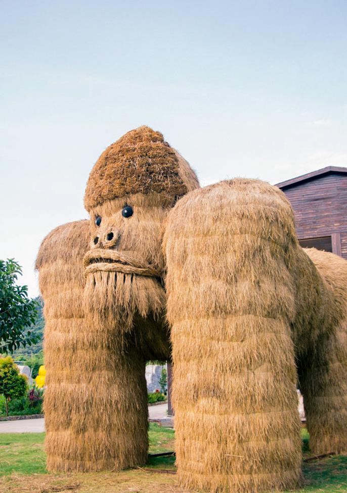 福建罕见海沧百亩草垛主题乐园出门就是森林