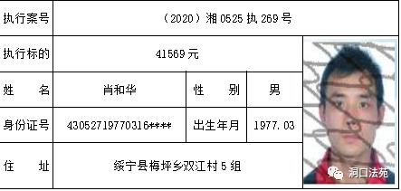 湖南洞口人口多少_湖南洞口美景(2)