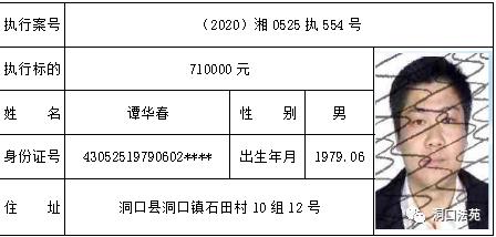 湖南洞口人口多少_湖南洞口美景(2)