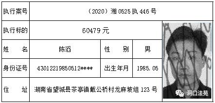 湖南洞口人口多少_湖南洞口美景(3)