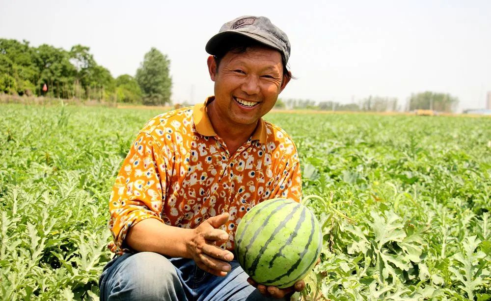 喜笑颜开幸灾乐祸图片