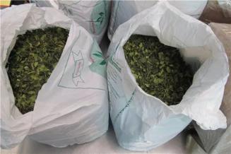 6 26 国际禁毒日 禁毒小课堂 你所不知道的毒品 权威发布 澎湃新闻 The Paper