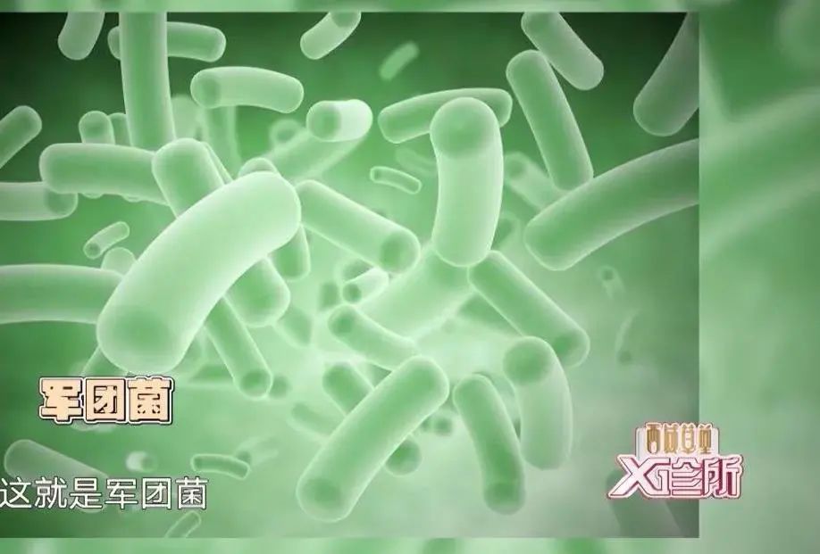 脏空调中往往带有一种军团菌,它大多数存在于中央空调的冷凝塔中,也