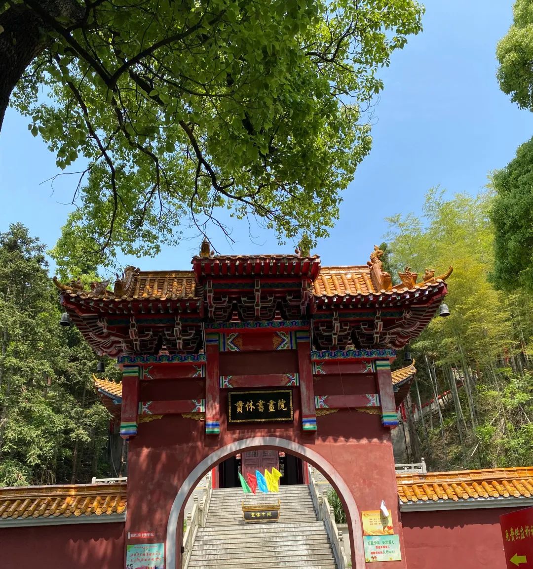 湾里约起,花海露营,儿童乐园,溯溪摸鱼,星空电影……来源:梅岭太阳谷