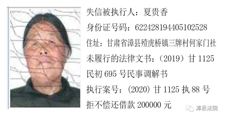 漳县人民法院失信被执行人名单发布2020第二期