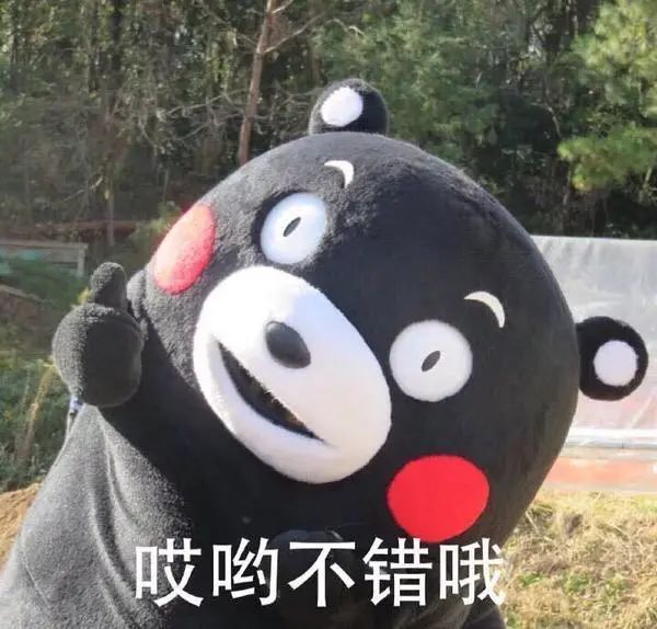 喝了这杯mojito,非法集资弄通透