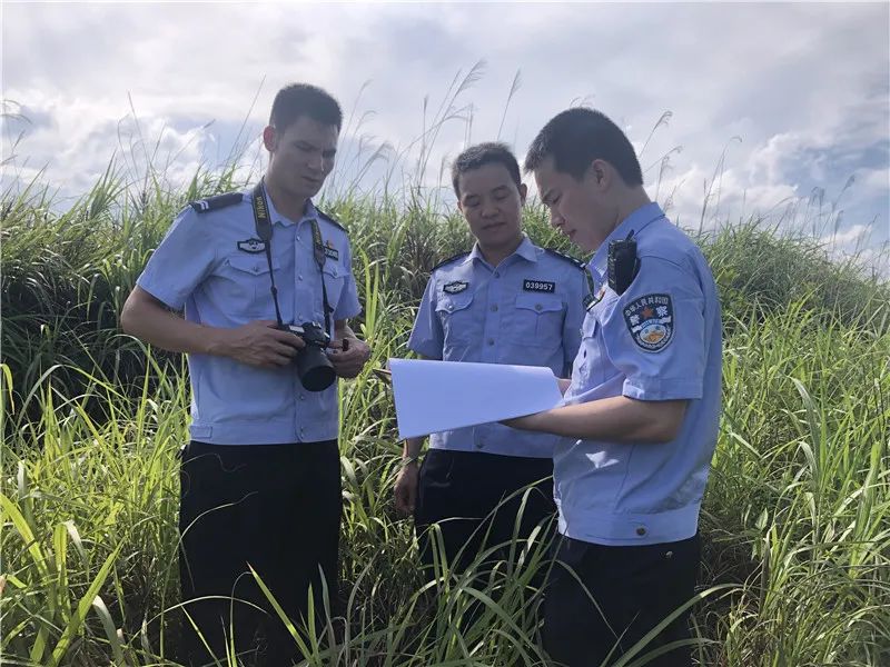 【寻找最美警察】陈秋成:新时代的 "森林卫士"