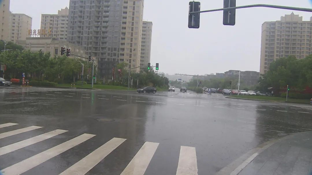 货运公司暴雨蓝色预警不用怕!奉贤防汛主动出击、确保