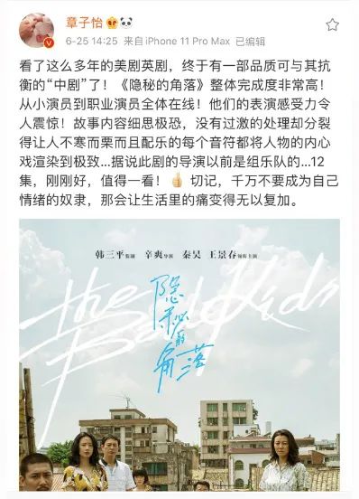 章子怡“加持” 豆瓣超9分 《隐秘的角落》为何大火？