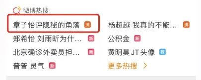 章子怡“加持” 豆瓣超9分 《隐秘的角落》为何大火？