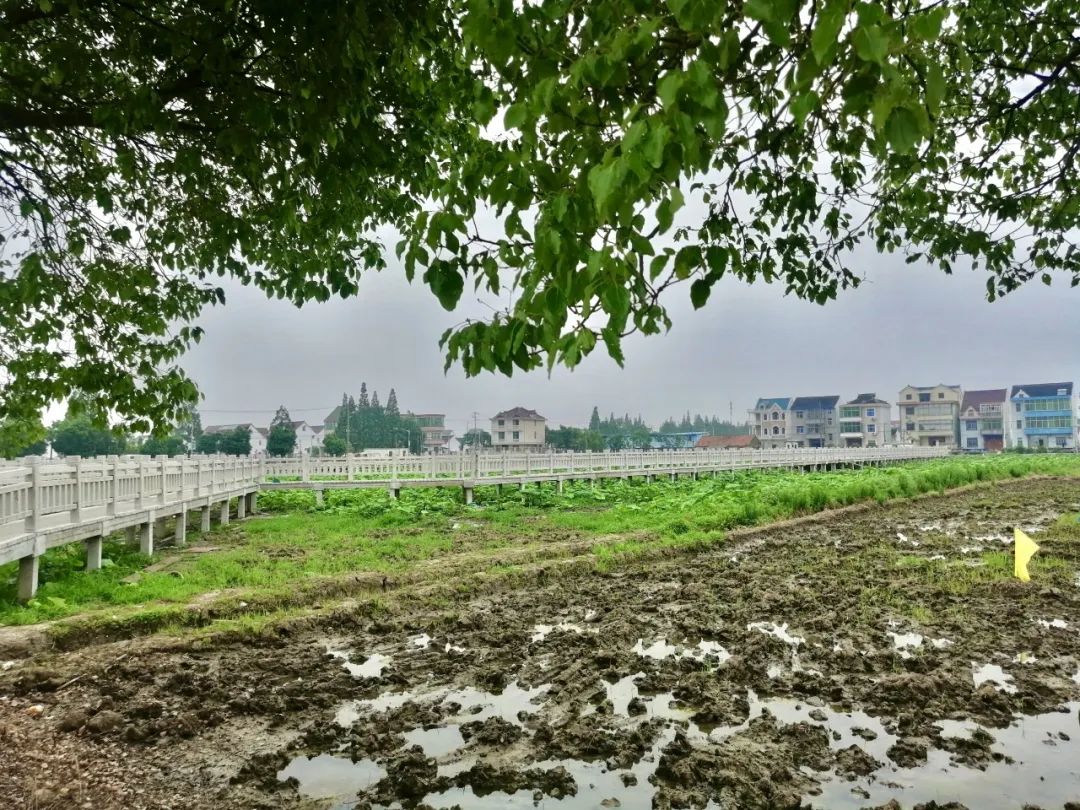搬迁 公司金山乡下头竟藏了那么多有意思的景观不雅观 观 不雅观 观,你必定