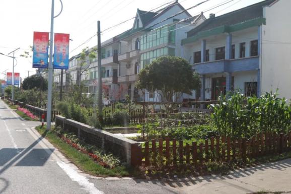 搬迁 公司金山乡下头竟藏了那么多有意思的景观不雅观 观 不雅观 观,你必定