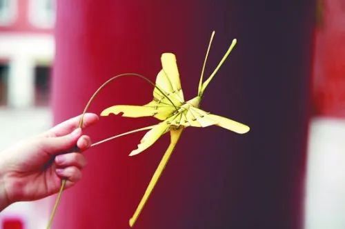 蝴蝶 难易程度: