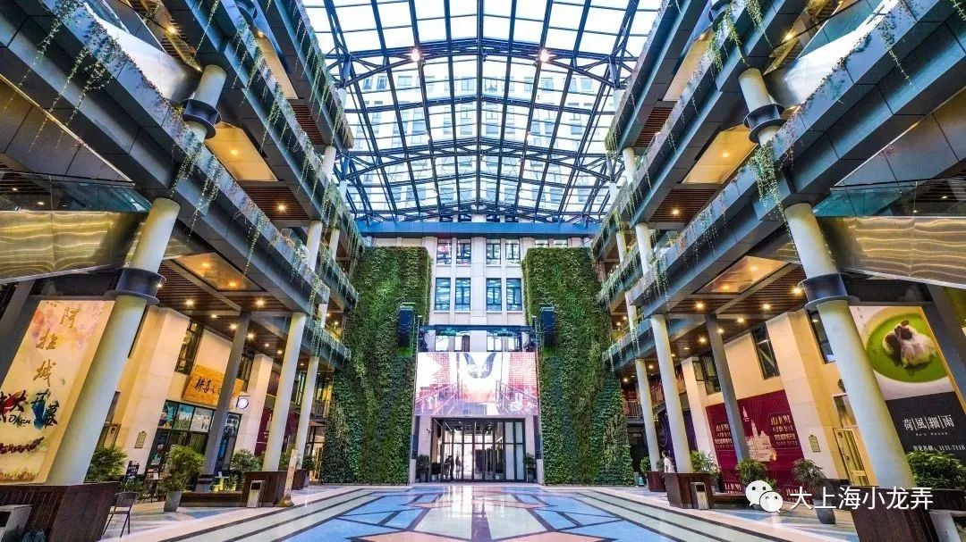 马尚龙|阿拉上海有"阿拉",阿拉城里城外都是阿拉味道