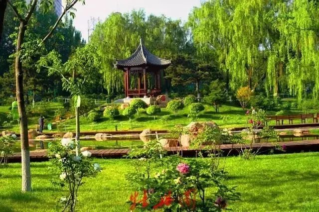 这里号称亚洲第一园,主要景点有:蔷薇园,木樨园,忍冬园,百花园,槭树园