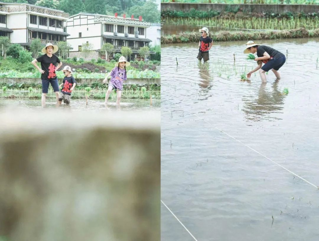 泰顺市经济总量_泰顺廊桥