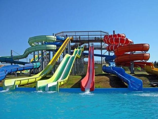 乐活端午趣新津花漾体验多