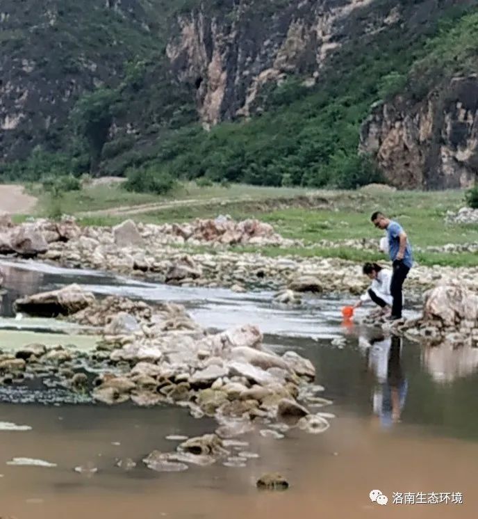 洛南县有多少人口_洛南灵口一男子未选举上威胁镇选举工作人员称 提你的人头(3)