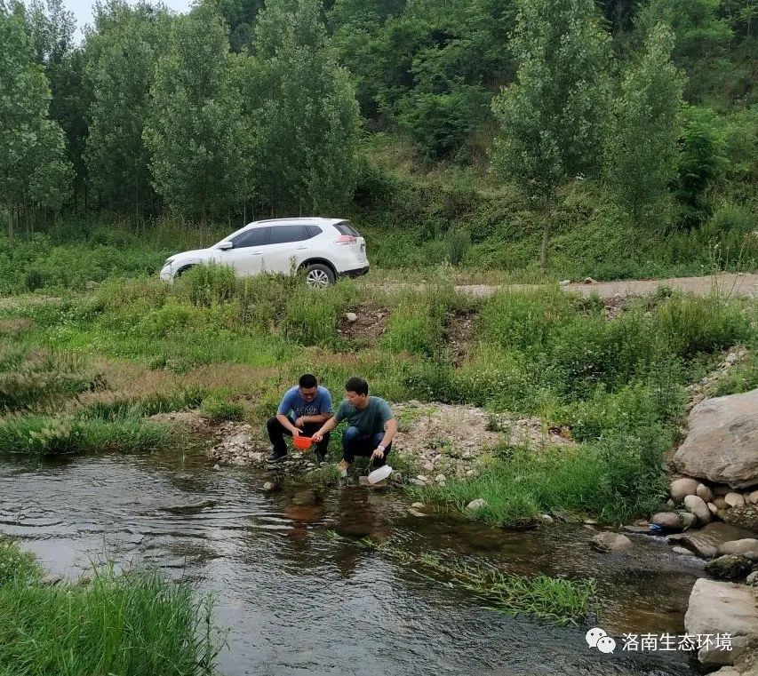 洛南县有多少人口_洛南灵口一男子未选举上威胁镇选举工作人员称 提你的人头