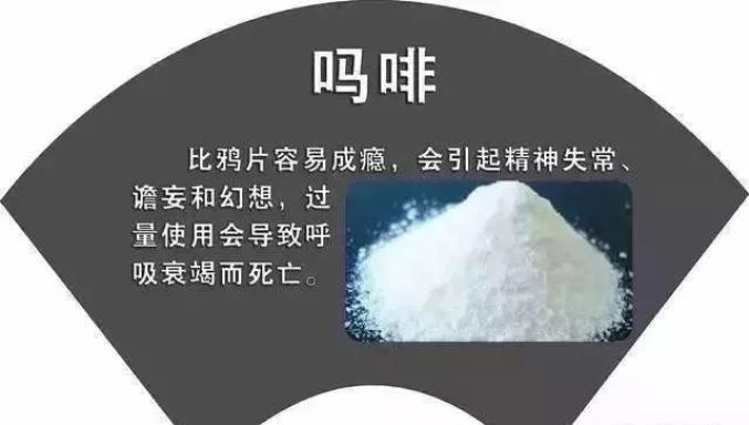 今天向他们致敬