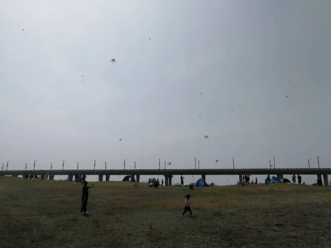 华州区2020年GDP_2020年世界gdp排名(3)