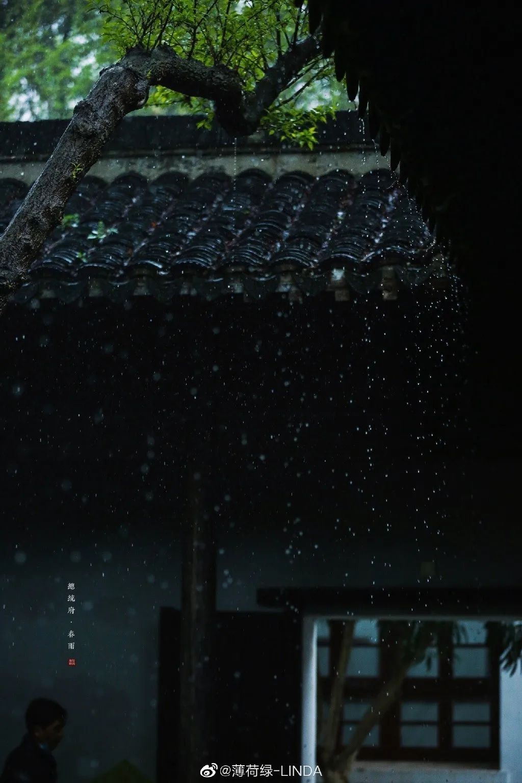 都能感受到中国的诗意从屋檐滴下的一线水珠里总统府也是个听雨好去处