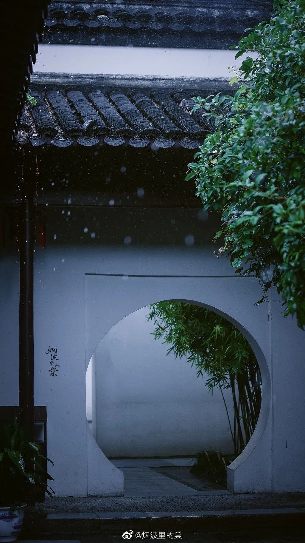 下的一线水珠里总统府也是个听雨好去处梅雨细,晓风微,倚楼人听欲沾衣