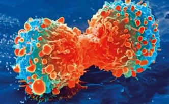 Cell子刊：一种代谢酶能抑制肝癌细胞的生长和扩散