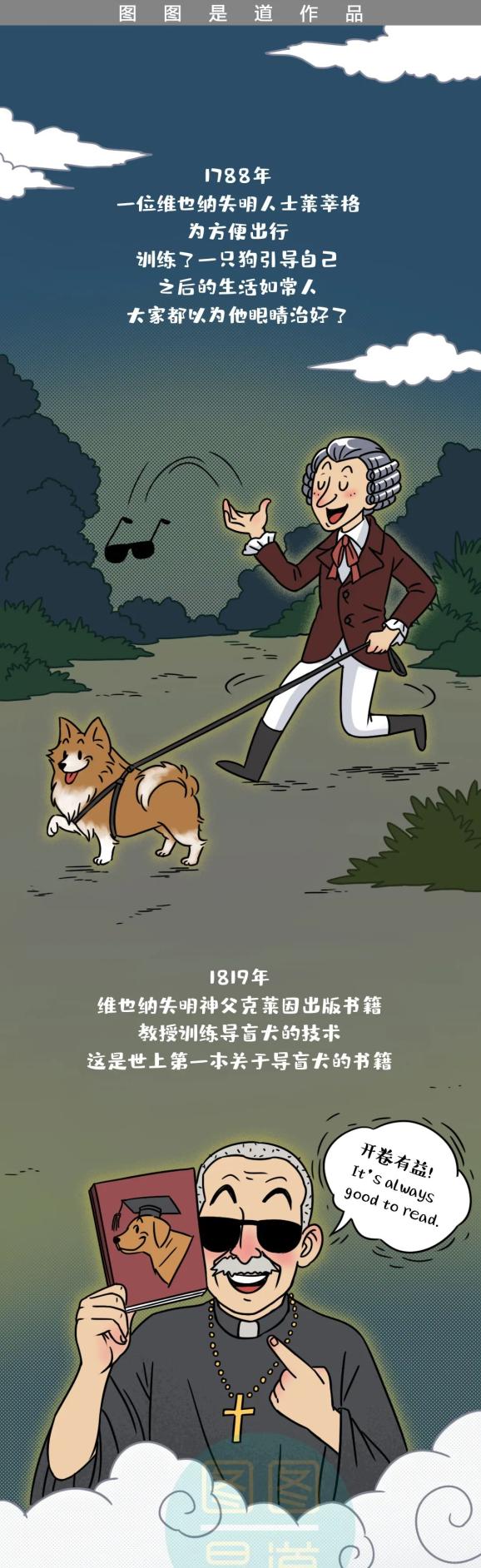 导盲犬的选拔有多难?全中国仅有200多只