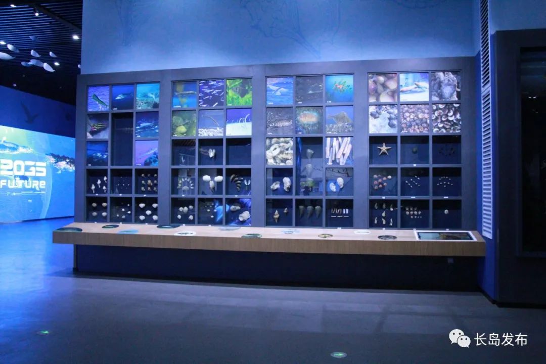 长岛海洋生态文明展览馆及老海岛精神陈列馆今日开馆