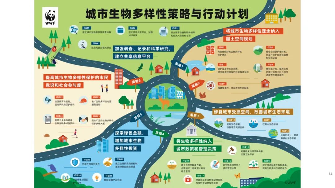 城市生物多样性框架研究共建地球生命共同体达成人与自然新共识