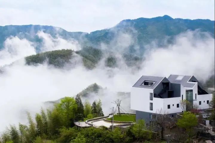 浙江日报整版关注丽水山居图描绘新时代生活方式