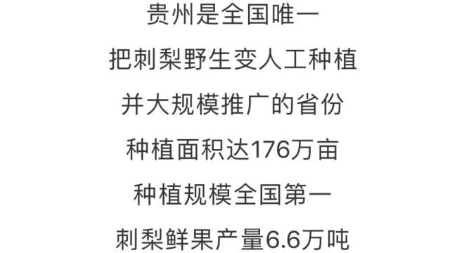 209.jpg