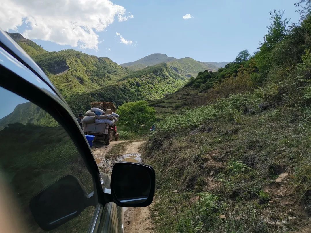 山路狭窄难行,遇到会车时很考验驾驶技术 席晶 摄