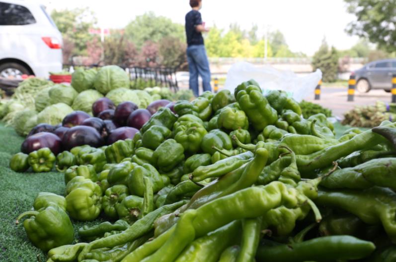 "堉荟沅种植中心占地面积288亩,种植有樱桃,西瓜等水果,以及茄子