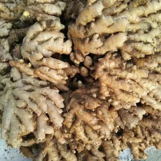 630广东扶贫济困日韶关市妇联喊你一起来与爱同行为爱下单