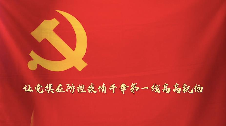 一个党员一面旗