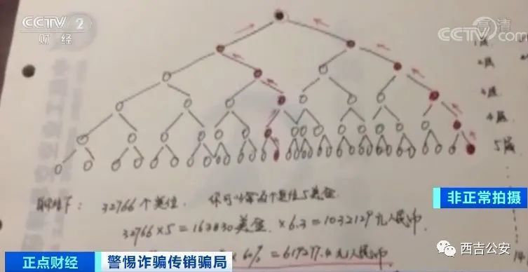 榃璞村委人口数_时佩璞真人照片(2)