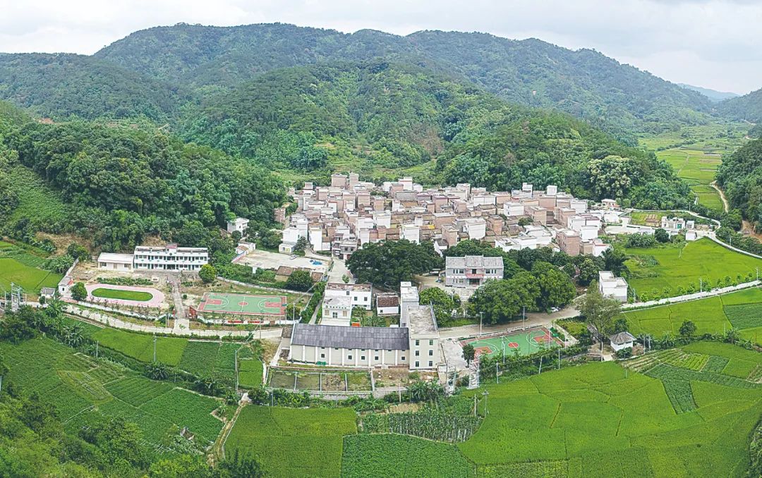 封开县杏花镇凤楼村沟渠,塘坝清淤清杂后绿化,美化.