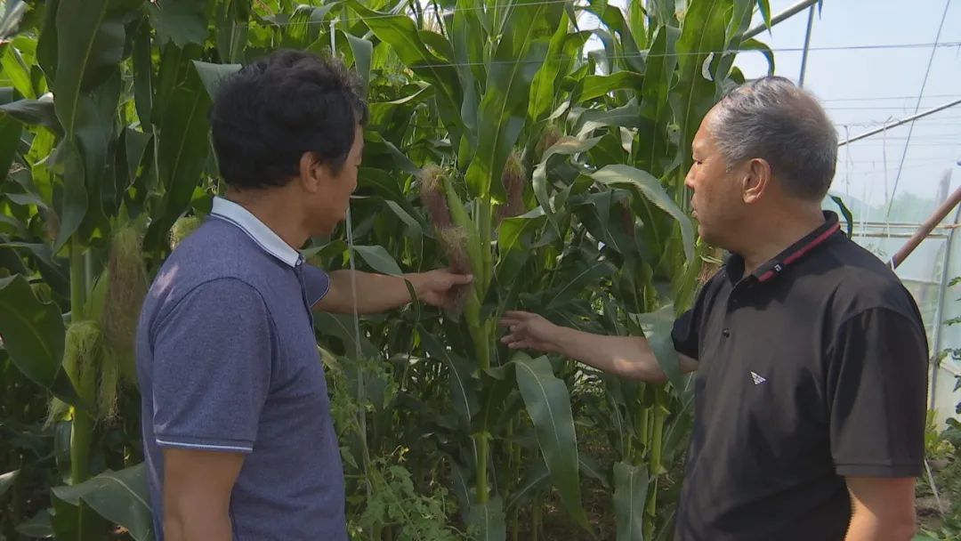 脱贫攻坚百日行动李占奎牢记初心使命做群众脱贫致富的带头人