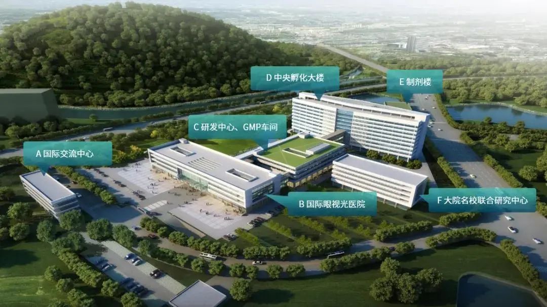 中国中医科学院眼科医院老年人看病代挂号术后康复定期随访，助力快速恢复的简单介绍