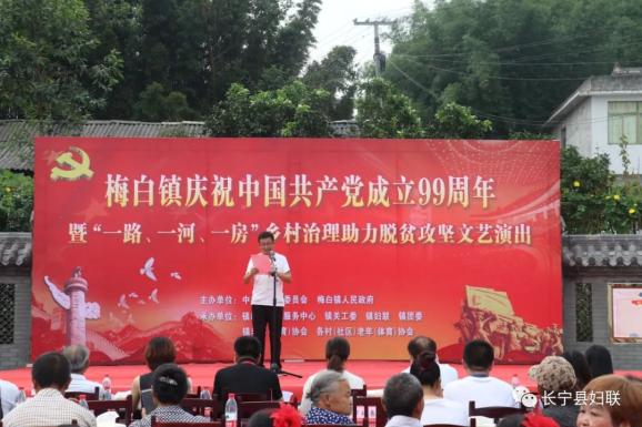 梅白镇人口